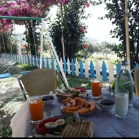 Mermaid Vlore 4* Radhimë