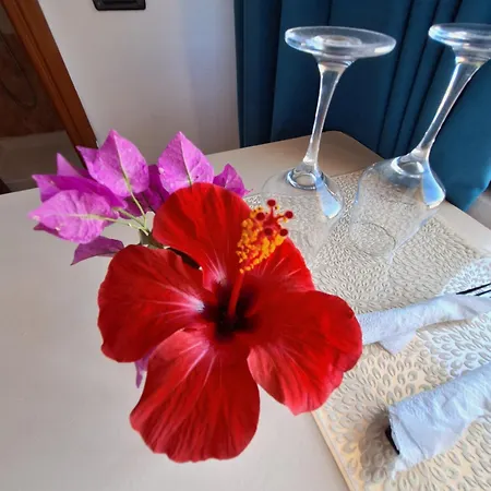 Mermaid Vlore 酒店 Radhimë