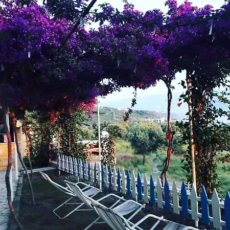 Mermaid Vlore 4* Радима