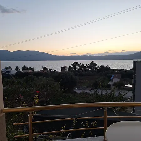 Mermaid Vlore Radhime