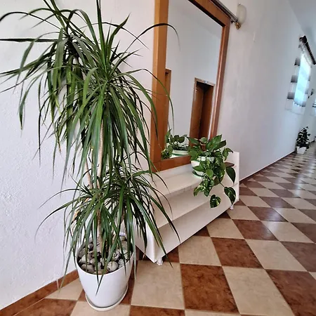 Mermaid Vlore Отель Радима