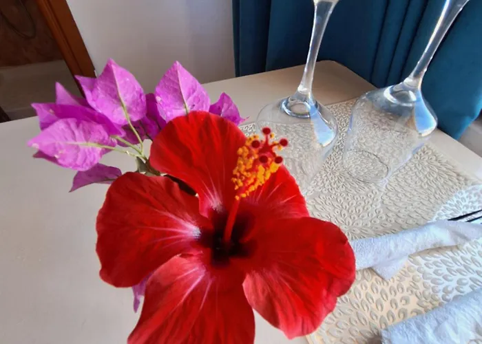 Mermaid Vlore Hotel Radhimë